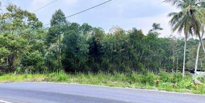Tanah 250 Juta Tepi Jl Kerjo- Kemuning Karanganyar 
