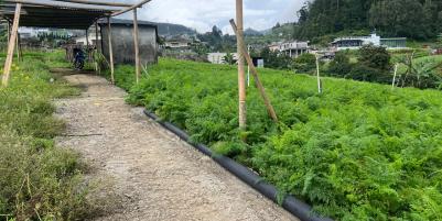 Tanah Datar 970m² Kawasan Villa Tawangmangu ,Karanganyar