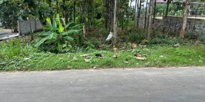 Tanah Super Datar 700m 225Jt Kedawung Sragen 