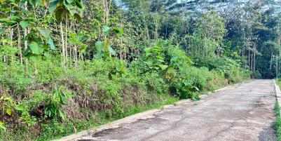 Tanah 2050m² Siap Bangun Utara Pasar Mojogedang 
