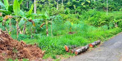 Tanah 1690m² Dekat Aliran Sungai Ngargoyoso  