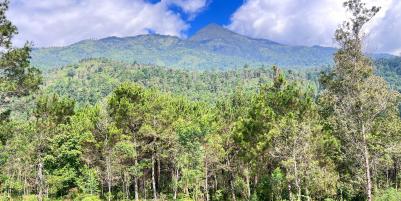 Tanah 4 Hektar Siap Bangun Wahana Wisata Karanganyar 