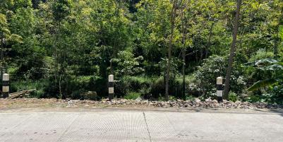 Tanah Dekat Sungai 3929m² Utara Jembatan Kaca Kemuning 