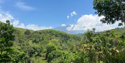 Tanah 82rb/m View Gunung Lawu Karanganyar 