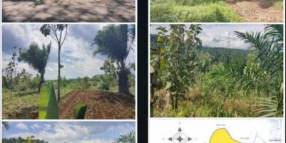 Jual Tanah Perkebunan Sangat Luas di Pangkalan, Sukabumi