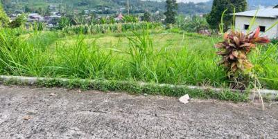 Tanah View Tanpa Terhalang 852m² Karangpandan 