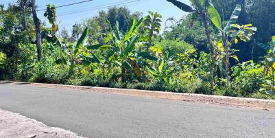 Pekarangan Datar 5783m² Timur Pasar Mojogedang 