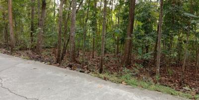 PROFIT 30% PER TAHUN TANAH DI DEKAT JALAN WATES KM 7