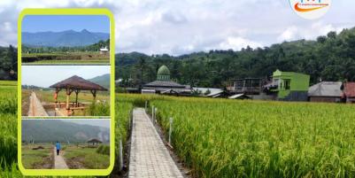 Kavling Sawah murah Harmoni Farm Ville