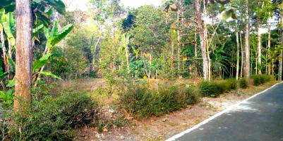 Dijual Kebun Durian 1100m² Mojogedang Karanganyar