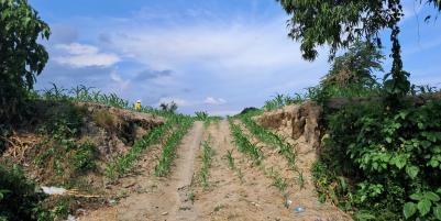 Dijual Tanah Strategis di Raya Ida Bagus Mantra Bypass, Gianyar Dijual Tanah Strategis di Raya Ida Bagus Mantra Bypass, Gianyar