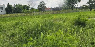 Dijual Tanah Kosong di Jalan Opak Raya, Sleman