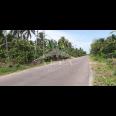 Tanah Jalan Mempawah Hilir Kalimantan Barat Dijual