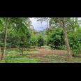 Dijual Tanah Strategis 5.355 m² di Dekat Lido City, Bogor