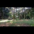 Dijual Tanah Strategis 5.355 m² di Dekat Lido City, Bogor