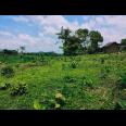 Tanah Strategis Dataran Tinggi View Sawah Karangpandan Karanganyar