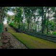 Tanah Subur Sentra Kebun Durian Mojogedang Karanganyar