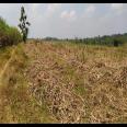 Dijual Tanah Strategis di Rejosari, Sukoharjo