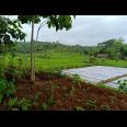 Tanah 2970m² View Hamparan Sawah Ngargoyoso Karanganyar