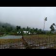 Tanah 2400m² Datar Kemuning Ngargoyoso Karanganyar