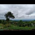 Rumah Vila Siap Huni View Kebun Teh Kemuning Ngargoyoso Karanganyar