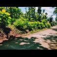 Tanah Datar Kebun Jati Kedawung Sragen