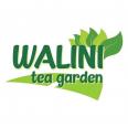 Kavling Walini Tea Garden