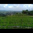 Tanah Idaman View Pemandangan Alam Kemuning Ngargoyoso Karanganyar Telp/WA: 082327612345