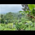 TEMPAT PENGINAPAN (VILLA & BUNGALOW) Udara Puncak Nan Sejuk
