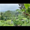 TEMPAT PENGINAPAN (VILLA & BUNGALOW) Udara Puncak Nan Sejuk