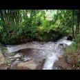 Tanah Dekat Aliran Sungai Bersih Kemuning Ngargoyoso Karanganyar Telp / WA:082327612345