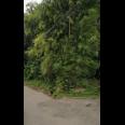 TANAH DEKAT ALUN-ALUN DAN JATIWANGI SQUARE DI JL. LETNAN ANGKAT ARZAIN JATIWANGI - MAJALENGKA