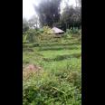 TANAH VIEW KOTA BANDUNG UNTUK RUMAH VILLA DAN KEBUN PRODUKTIF  DI UJUNG BERUNG