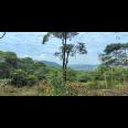 TANAH UNTUK  WISATA RESORT PERKEBUNAN PETERNAKAN  DEKAT JALAN CAGAK SUBANG