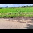 Tanah Subur Strategis 10245m² Kedawung Sragen