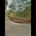 Tanah Datar 3930m² Siap Dibangun Mojogedang Karanganyar