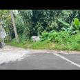  Pekarangan 225 Juta Cocok untuk Kebun Buah Ngargoyoso