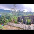 Tanah 800m² View Perkebunan Teh Karanganyar 