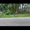 Tanah Super Datar 700m 225Jt Kedawung Sragen 