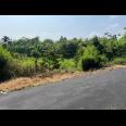 Tanah Kebun Buah 2020m² Kedawung Sragen