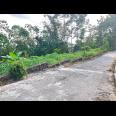 Tanah Subur 6000m² Kawasan Wisata Karangpandan 