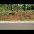 Tanah Datar 600m Timur Kecamatan Kerjo, Karanganyar 