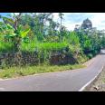 Kebun Durian 950m 250Jt Mojogedang Karanganyar 
