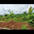 Jual Tanah di dataran tinggi Cijeruk Bogor View Indah Kota Bogor, Sentul dan Gunung Gede