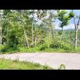 Tanah Murah 9803m 200rb/m Utara Candi Cetho Karanganyar 