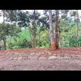 Tanah Kebun Durian 8594m² Siap Panen Karanganyar 