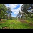  Tanah 750m² Cocok Untuk Villa Ngargoyoso Karanganyar 
