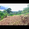  Tanah 4121m² View Hamparan Sawah Karanganyar 