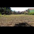 TANAH STRATEGIS DEKAT SEKOLAH, ALUN-ALUN, MALL DAN PERTOKOAN DI SAYAP JL. RAYA SAMARANG GARUT