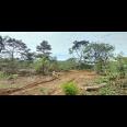 TANAH UNTUK  WISATA RESORT PERKEBUNAN PETERNAKAN  DEKAT JALAN CAGAK SUBANG